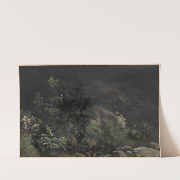 Plants on rocks (1850-1881) by Adolf Dressler