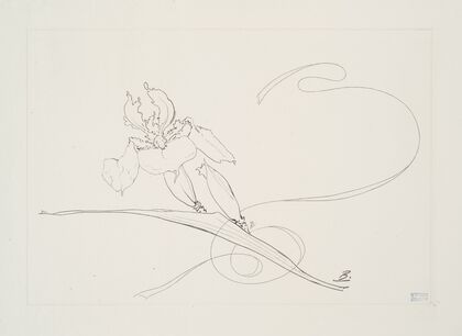 Plat rond (iris). (1866 - 1878)