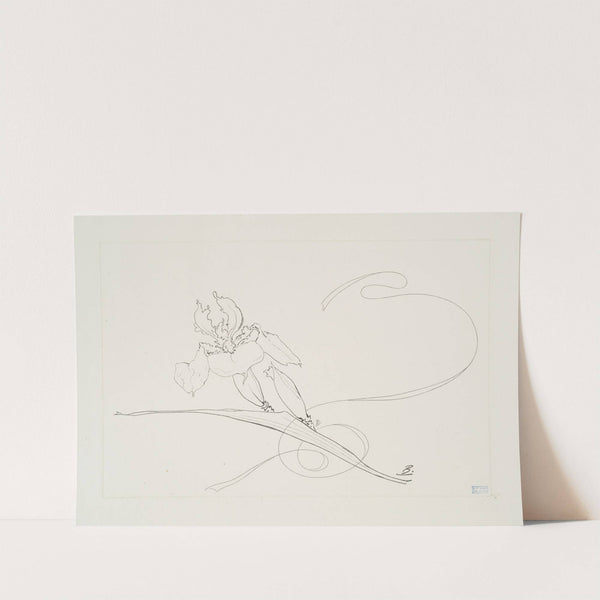 Plat rond (iris). (1866 - 1878) by Félix Bracquemond