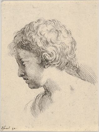 Plate 13; head of a young boy, in profile (1649)
