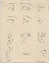 Plate 3; six eyes, three Ears, two Profiles, and a mouth (1649)
