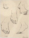 Plate 7; Five feet (1649)