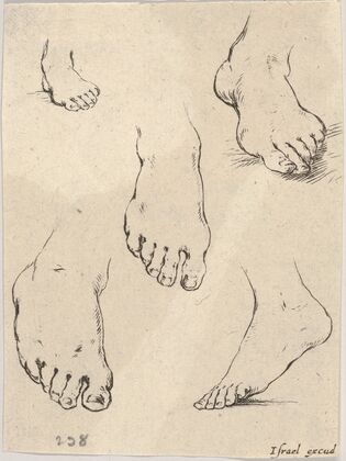 Plate 7; Five feet (1649)