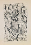plate 8; Malepartus (1919)