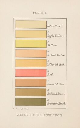 Plate I: Vogel’s Scale of Urine Tints