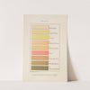Plate I: Vogel's Scale of Urine Tints by Charles Wesley Purdy