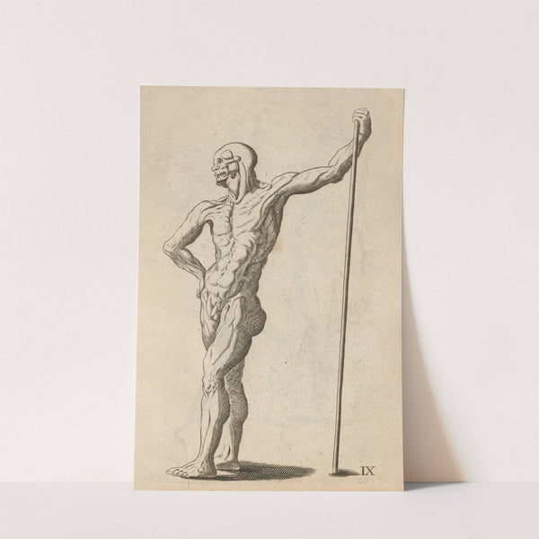Plate IX: Artist study of anatomical male standing (1685) by William Salmon