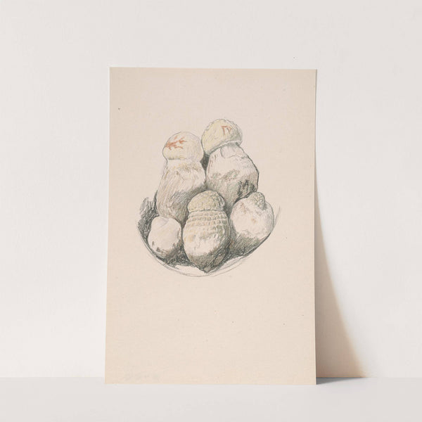 Plate of Mushrooms by Elihu Vedder