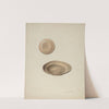 Plate Treen (1938) by Wellington Blewett