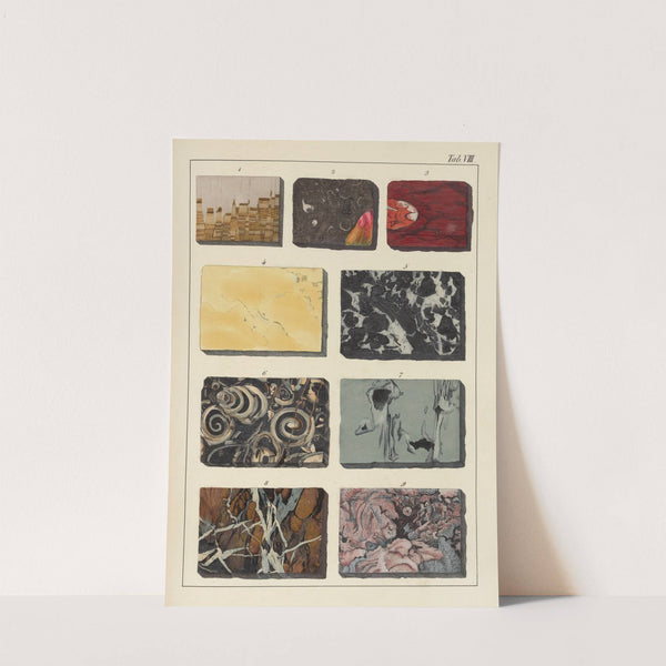 Plate VIII: Marbles by Johann Gottlob Kurr