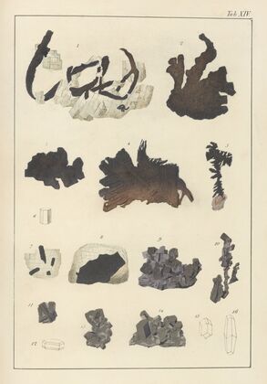 Plate XIV: Native Silver, Antimonial Silver, Sulphuret of Silver, Glance and Red Silver Ore