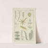 Plate XIX: Miscellaneous by George Chandler Whipple