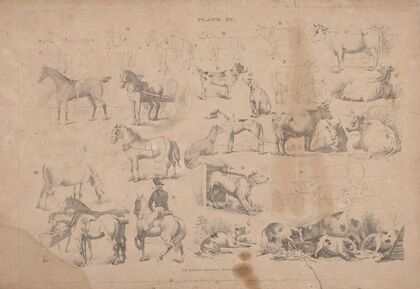 Plate XV J.R. Smith’s juvenile drawing book