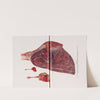 Plate XVI (Fig. 1): Lungs of goat, monkey, and rat surviving, respectively, 4 hours and 10 minutes, 4 hours and 55 minutes, and 6 hours, after exposure for 15 minutes to chlorpicrin. (1920) by Milton C. Winternitz