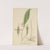 Pleurothallis ruscifolia by William Jackson Hooker