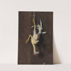 Plucked Clean by William Michael Harnett