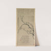 Plum Blossoms (probably 1739) by Wang Shishen