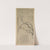 Plum Blossoms (probably 1739) by Wang Shishen