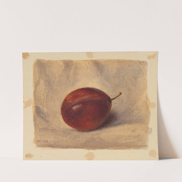 Plum by John Henry Hill
