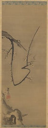 Plum Tree (c. 1700)