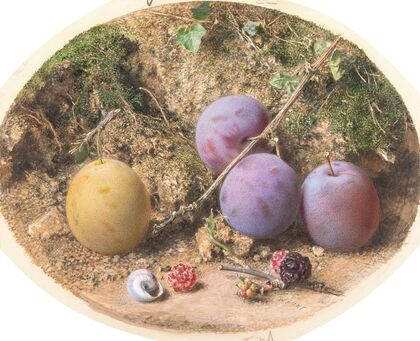 Plums and Mulberries — size preview