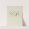 Poisson &#8211; dessin non utilisé. (1920-1921) by Achille Granchi-Taylor