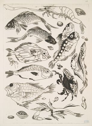Poissons