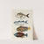Poissons, ecrevisses et crabes, de diverses couleurs et figures extraordinaires.. Pl.002 by Louis Renard