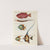 Poissons, ecrevisses et crabes, de diverses couleurs et figures extraordinaires.. Pl.012 by Louis Renard