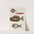 Poissons, ecrevisses et crabes, de diverses couleurs et figures extraordinaires.. Pl.013 by Louis Renard
