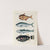 Poissons, ecrevisses et crabes, de diverses couleurs et figures extraordinaires.. Pl.015 by Louis Renard