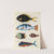 Poissons, ecrevisses et crabes, de diverses couleurs et figures extraordinaires.. Pl.022 by Louis Renard