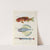 Poissons, ecrevisses et crabes, de diverses couleurs et figures extraordinaires.. Pl.035 by Louis Renard