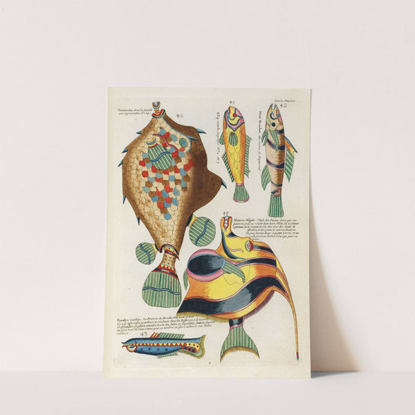 Poissons, ecrevisses et crabes, de diverses couleurs et figures extraordinaires.. Pl.052 by Louis Renard