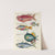 Poissons, ecrevisses et crabes, de diverses couleurs et figures extraordinaires.. Pl.064 by Louis Renard