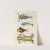 Poissons, ecrevisses et crabes, de diverses couleurs et figures extraordinaires.. Pl.067 by Louis Renard