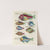 Poissons, ecrevisses et crabes, de diverses couleurs et figures extraordinaires.. Pl.068 by Louis Renard