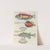 Poissons, ecrevisses et crabes, de diverses couleurs et figures extraordinaires.. Pl.078 by Louis Renard