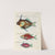 Poissons, ecrevisses et crabes, de diverses couleurs et figures extraordinaires.. Pl.079 by Louis Renard