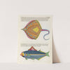 Poissons, ecrevisses et crabes, de diverses couleurs et figures extraordinaires.. Pl.086 by Louis Renard