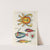 Poissons, ecrevisses et crabes, de diverses couleurs et figures extraordinaires.. Pl.089 by Louis Renard