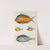 Poissons, ecrevisses et crabes, de diverses couleurs et figures extraordinaires.. Pl.098 by Louis Renard