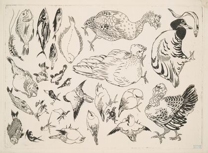 Poissons, oiseaux, poussin.