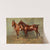 Polo Ponies, Romany And Tith, Owned By Sir J. Barker by Frederic Whiting