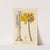 Polyanthus or Cluster Narcissus (1836) by Pancrace Bessa