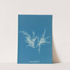 Polysiphonia byssoides. (1843-1853) by Anna Atkins