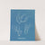 Polysiphonia elongata (1843-1853) by Anna Atkins