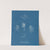Polysiphonia fruticulosa (1843-1853) by Anna Atkins