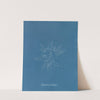 Polysiphonia subulifera (1843-1853) by Anna Atkins