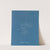 Polysiphonia subulifera (1843-1853) by Anna Atkins
